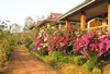 Freedom Estate